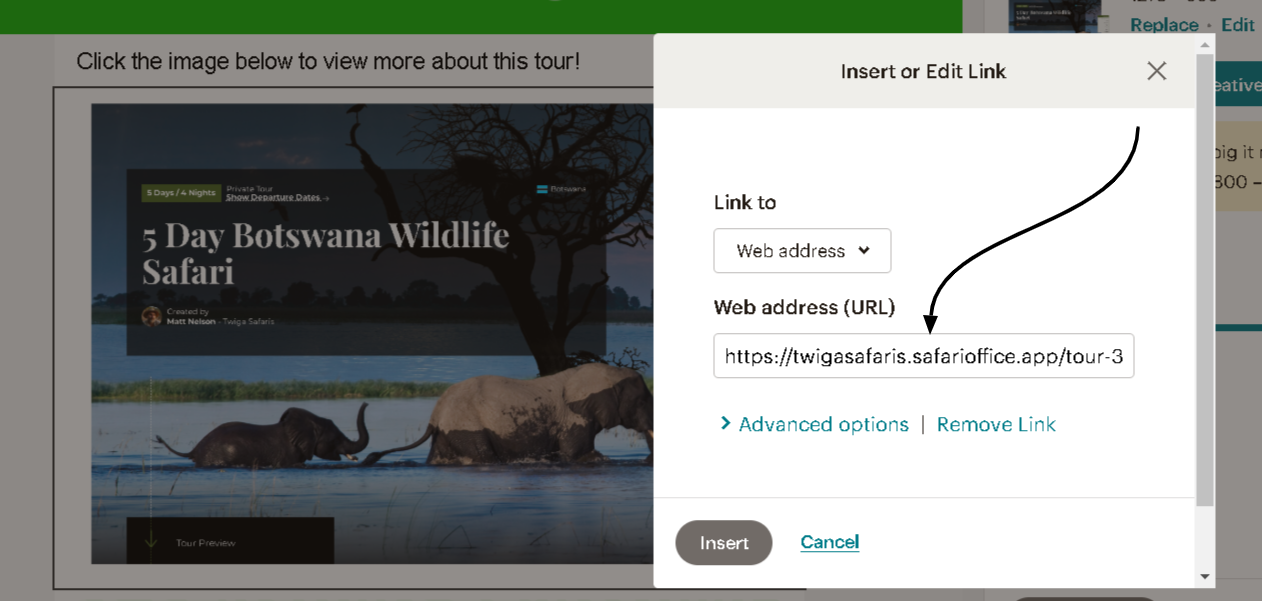 Campaign-Builder-Template-Designer-Mailchimp-11-19-2024_08_40_PM.png